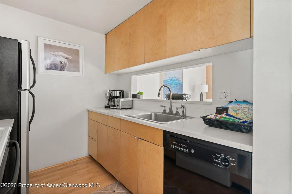 16 of 27 - 910 W Hallam Street #8, Aspen, CO