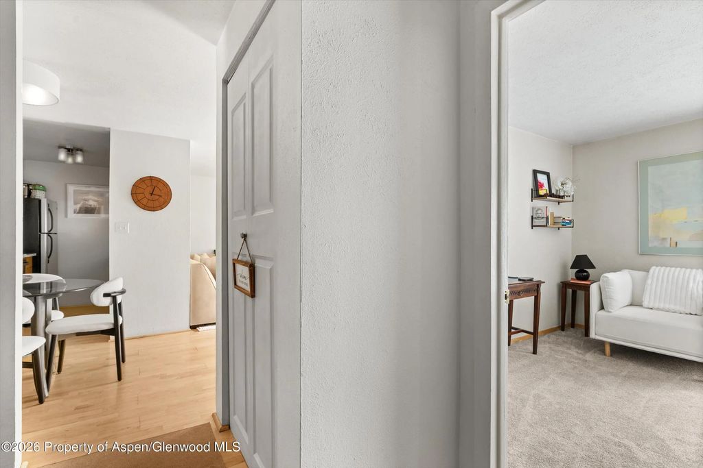 17 of 27 - 910 W Hallam Street #8, Aspen, CO