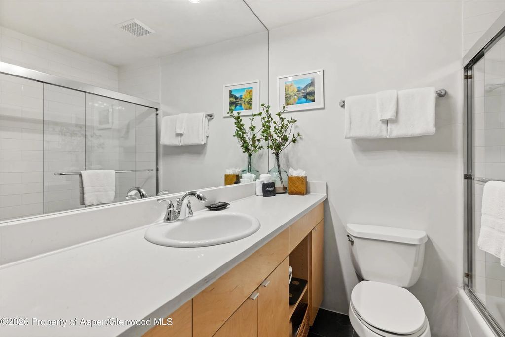 22 of 27 - 910 W Hallam Street #8, Aspen, CO