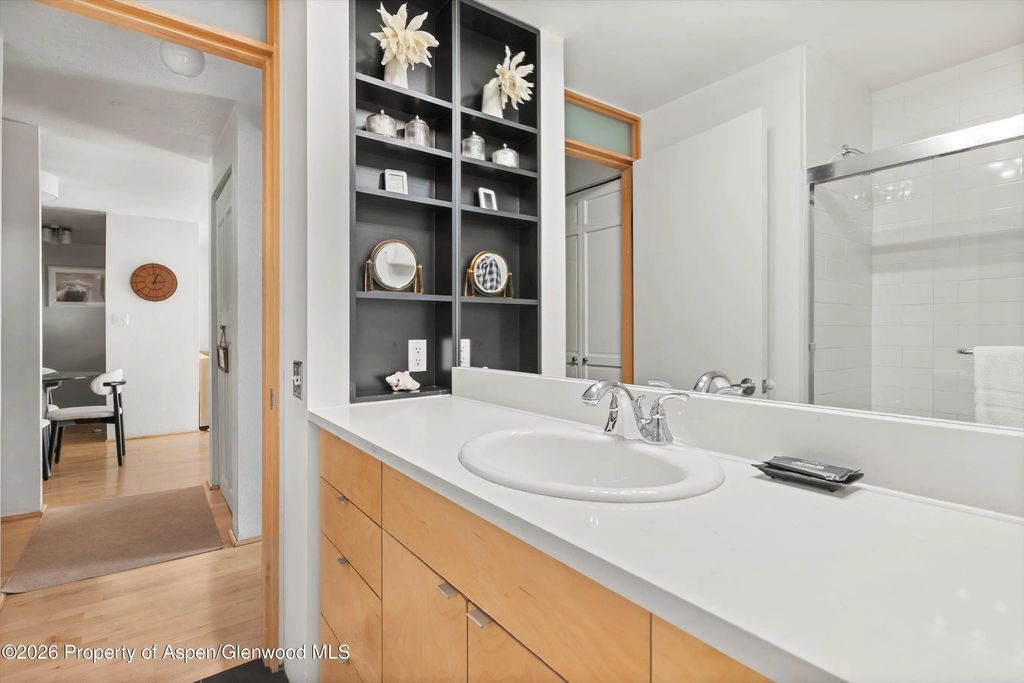 23 of 27 - 910 W Hallam Street #8, Aspen, CO