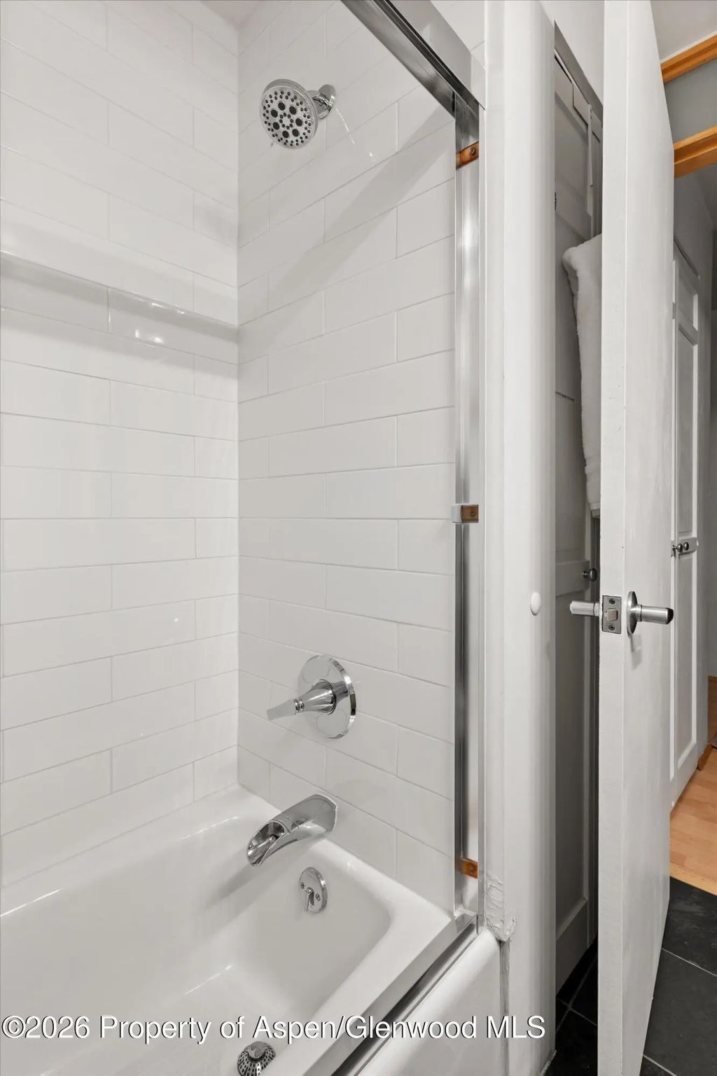 24 of 27 - 910 W Hallam Street #8, Aspen, CO