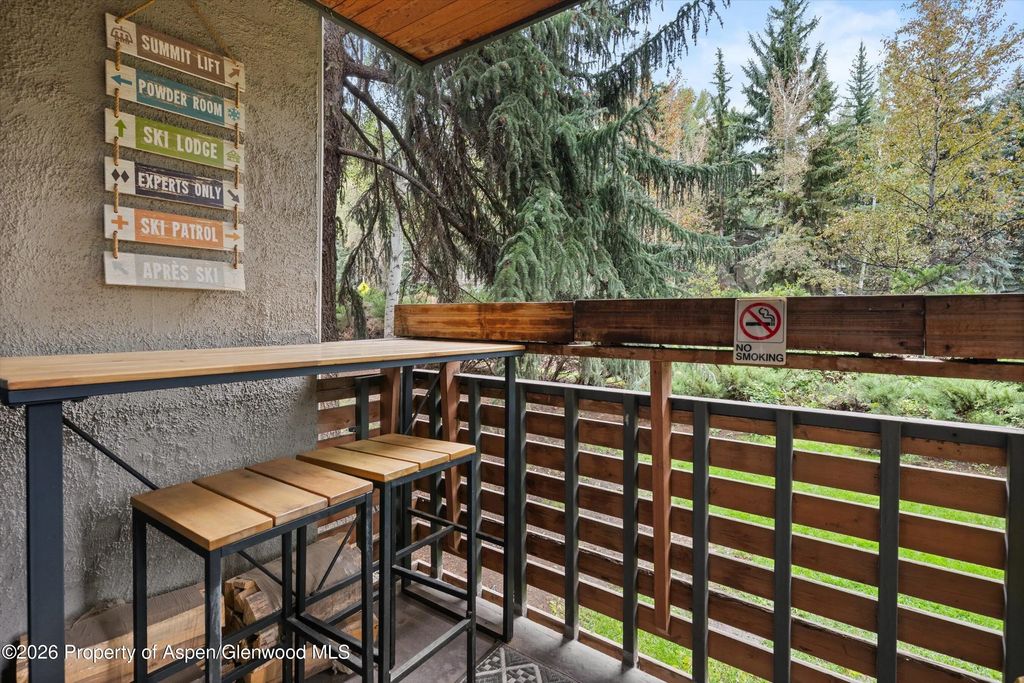 25 of 27 - 910 W Hallam Street #8, Aspen, CO