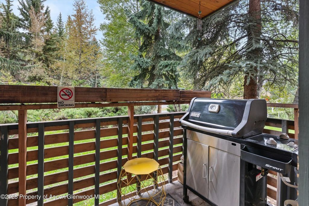 26 of 27 - 910 W Hallam Street #8, Aspen, CO
