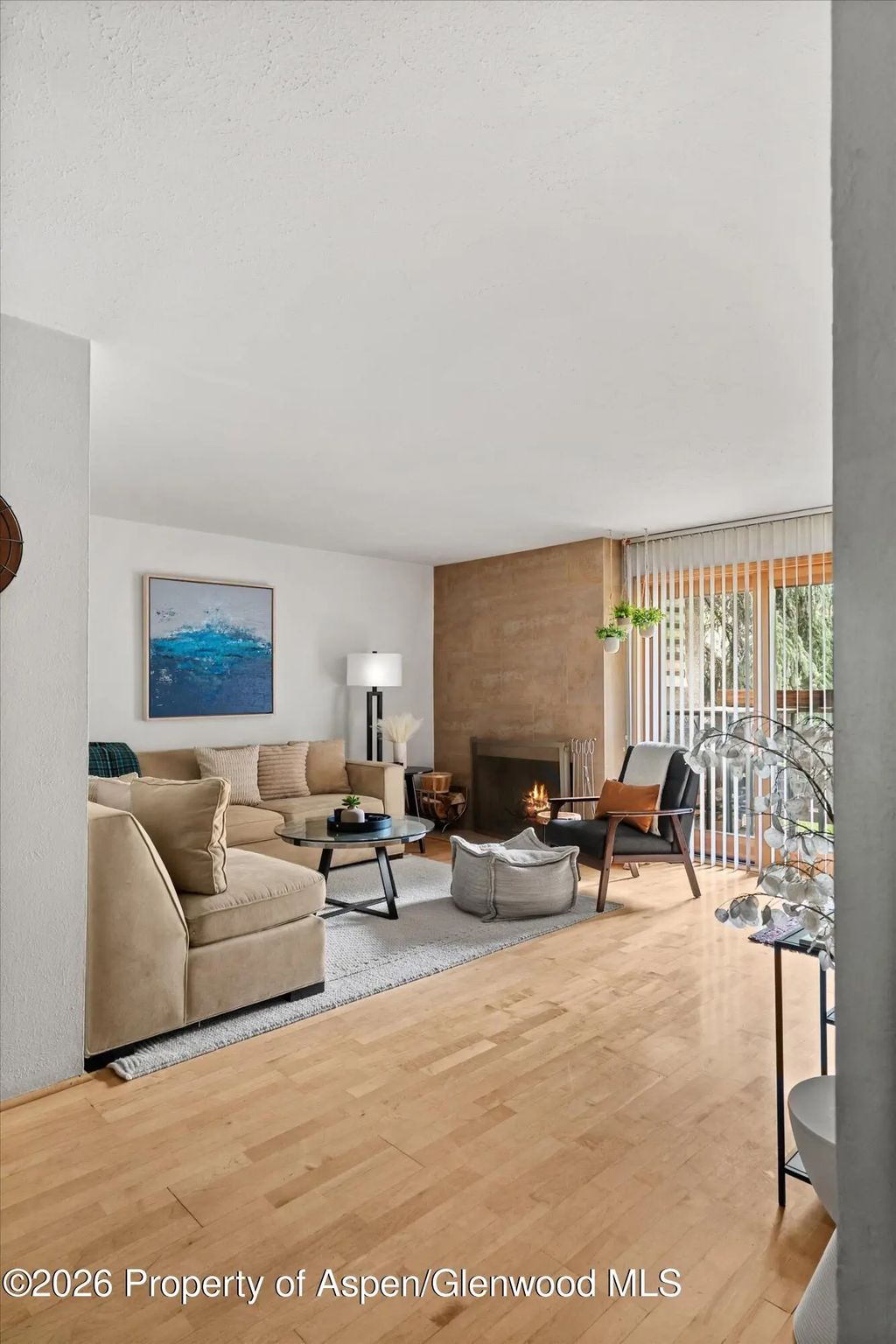 4 of 27 - 910 W Hallam Street #8, Aspen, CO