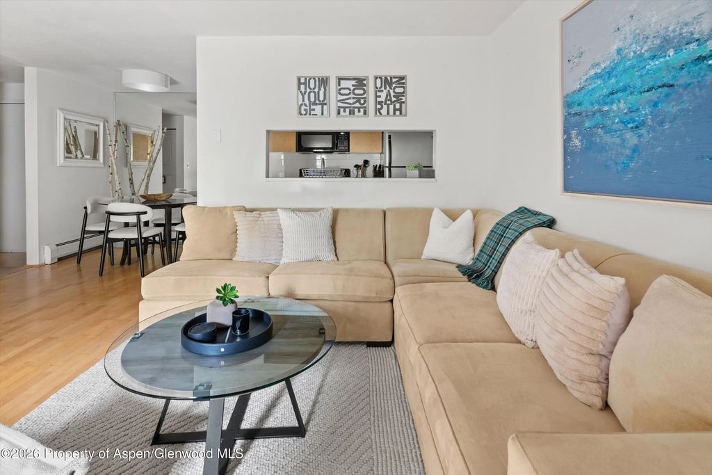 5 of 27 - 910 W Hallam Street #8, Aspen, CO