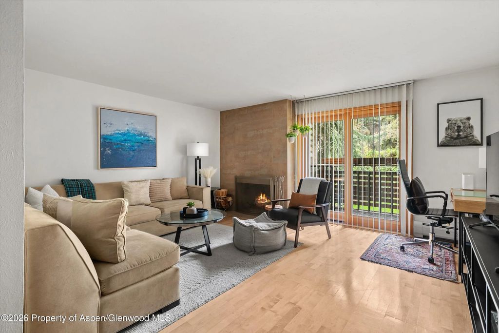 6 of 27 - 910 W Hallam Street #8, Aspen, CO