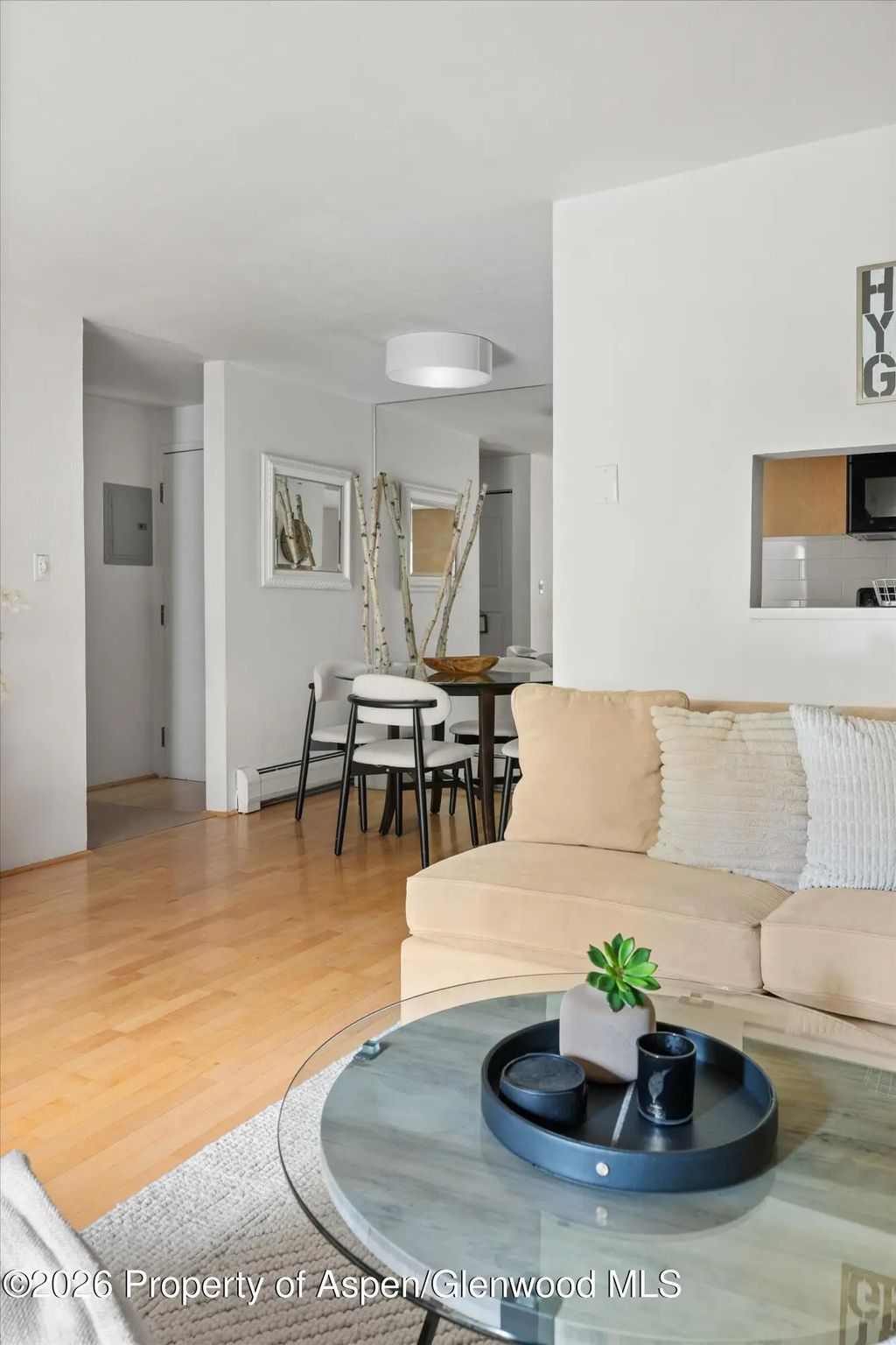 8 of 27 - 910 W Hallam Street #8, Aspen, CO