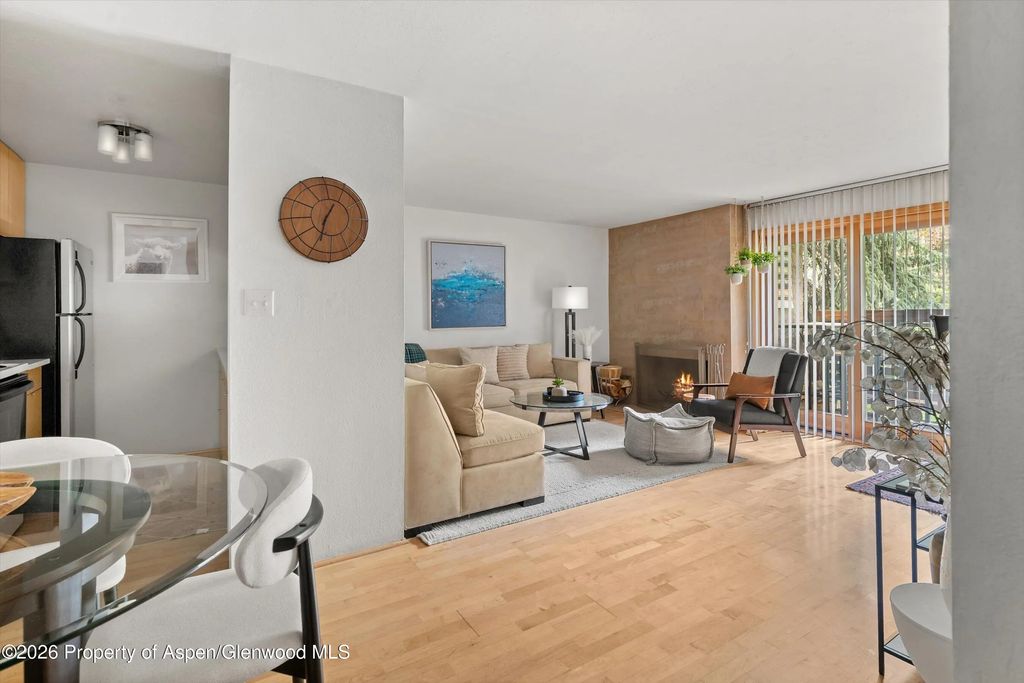 9 of 27 - 910 W Hallam Street #8, Aspen, CO