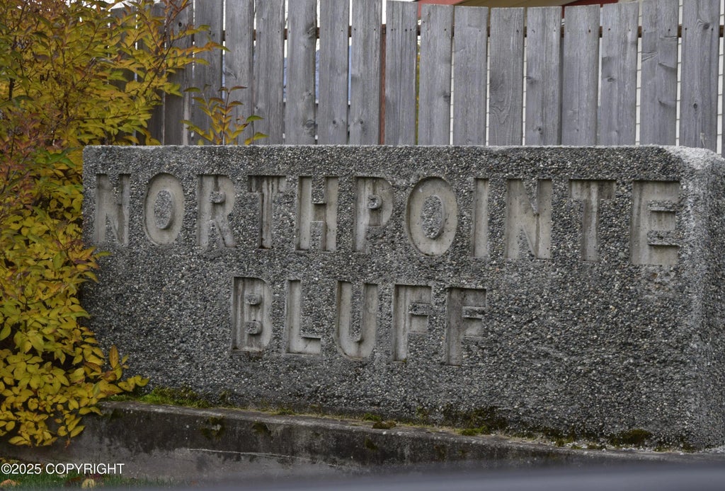 1091 Northpointe Bluff Drive, Anchorage