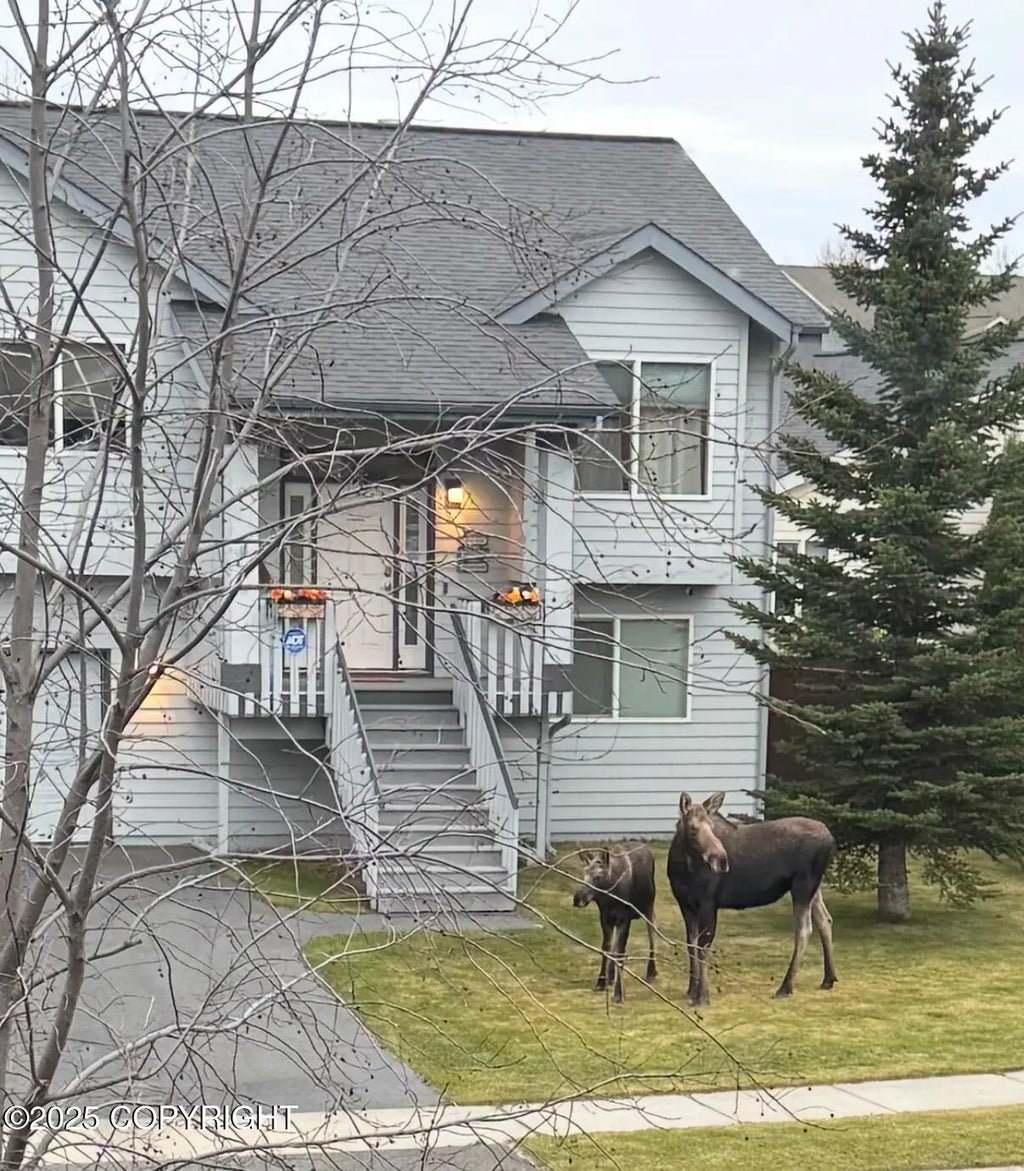 5720 Kenai Fjords Loop, Anchorage