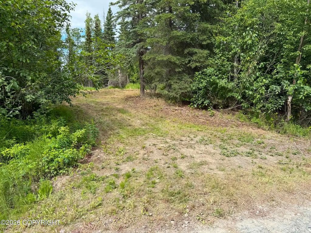 40212 Arrowhead Avenue, Soldotna