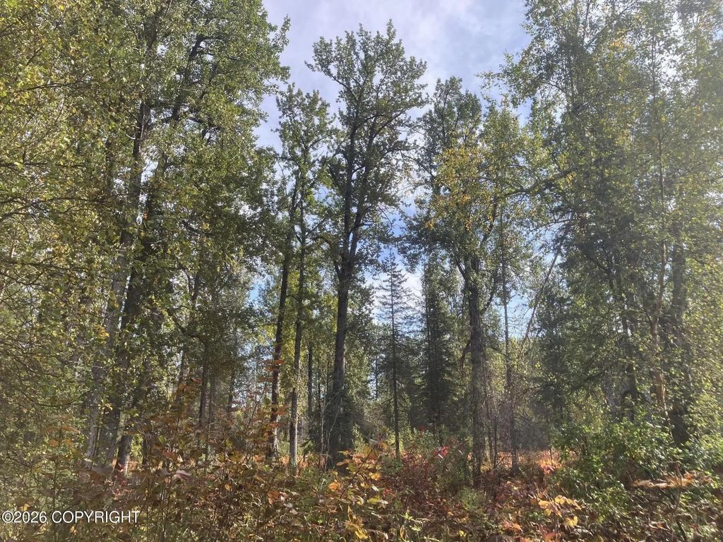 Nhn Chase Road, Talkeetna