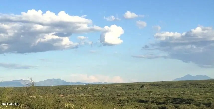 Photo of Listing #6284054