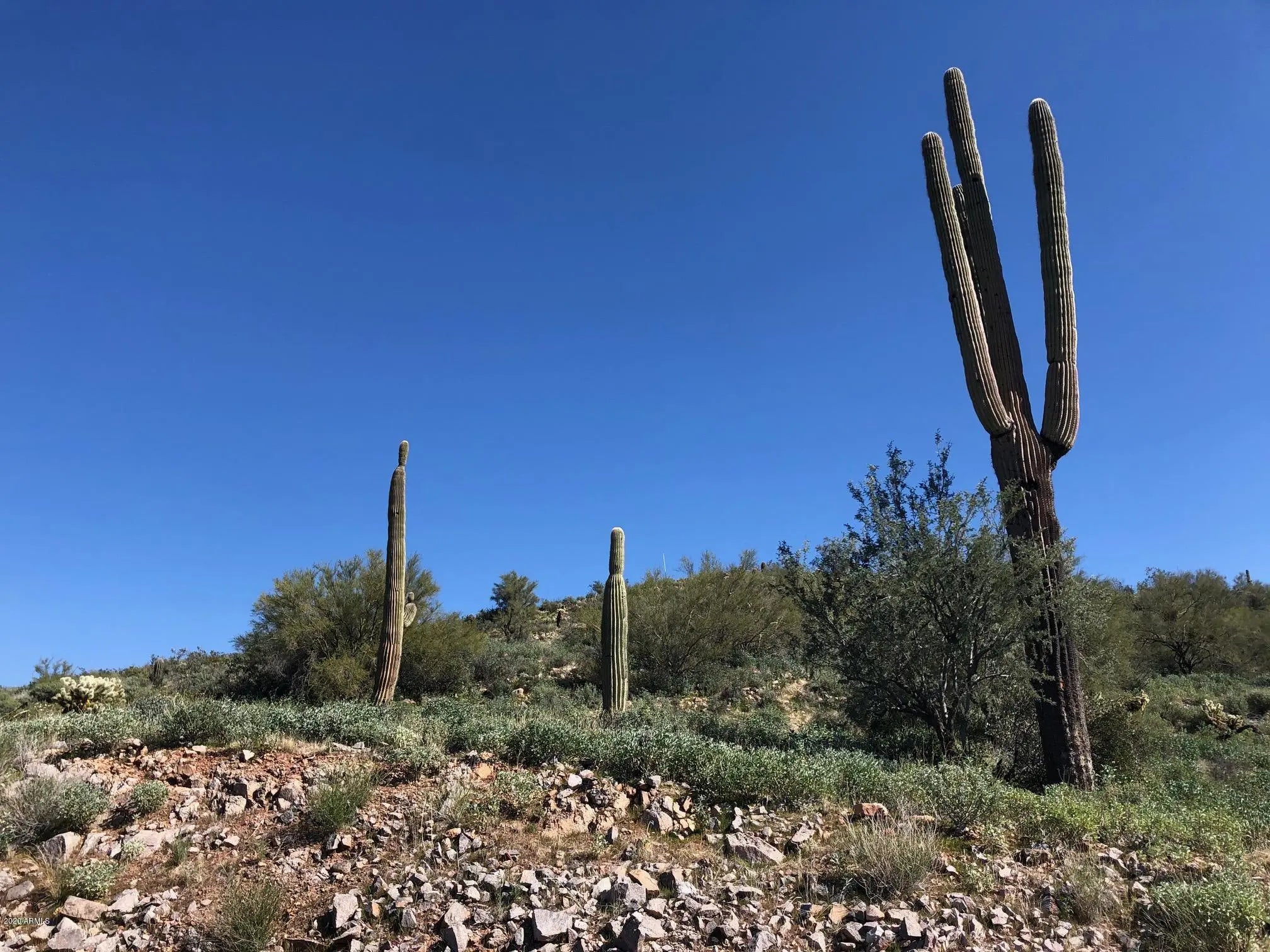 Photo of Listing #6435773