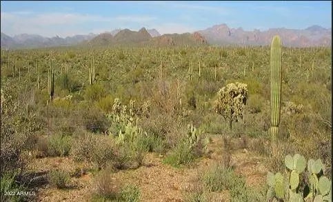 Photo of Listing #6452568