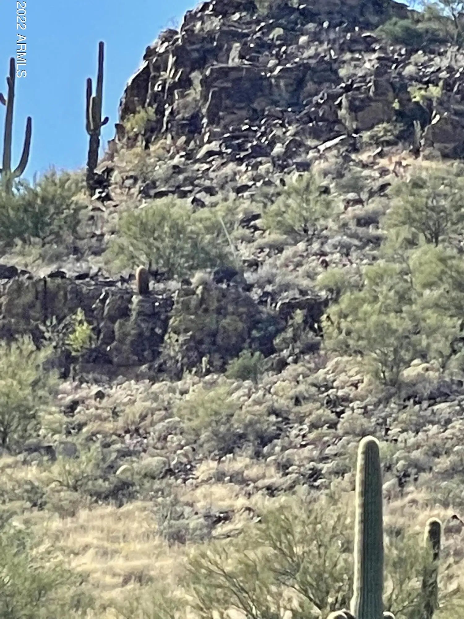 Photo of Listing #6453451