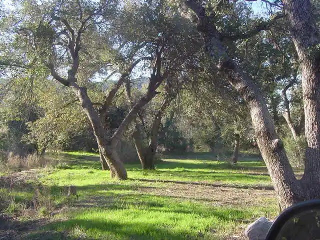 Photo of Listing #6477019