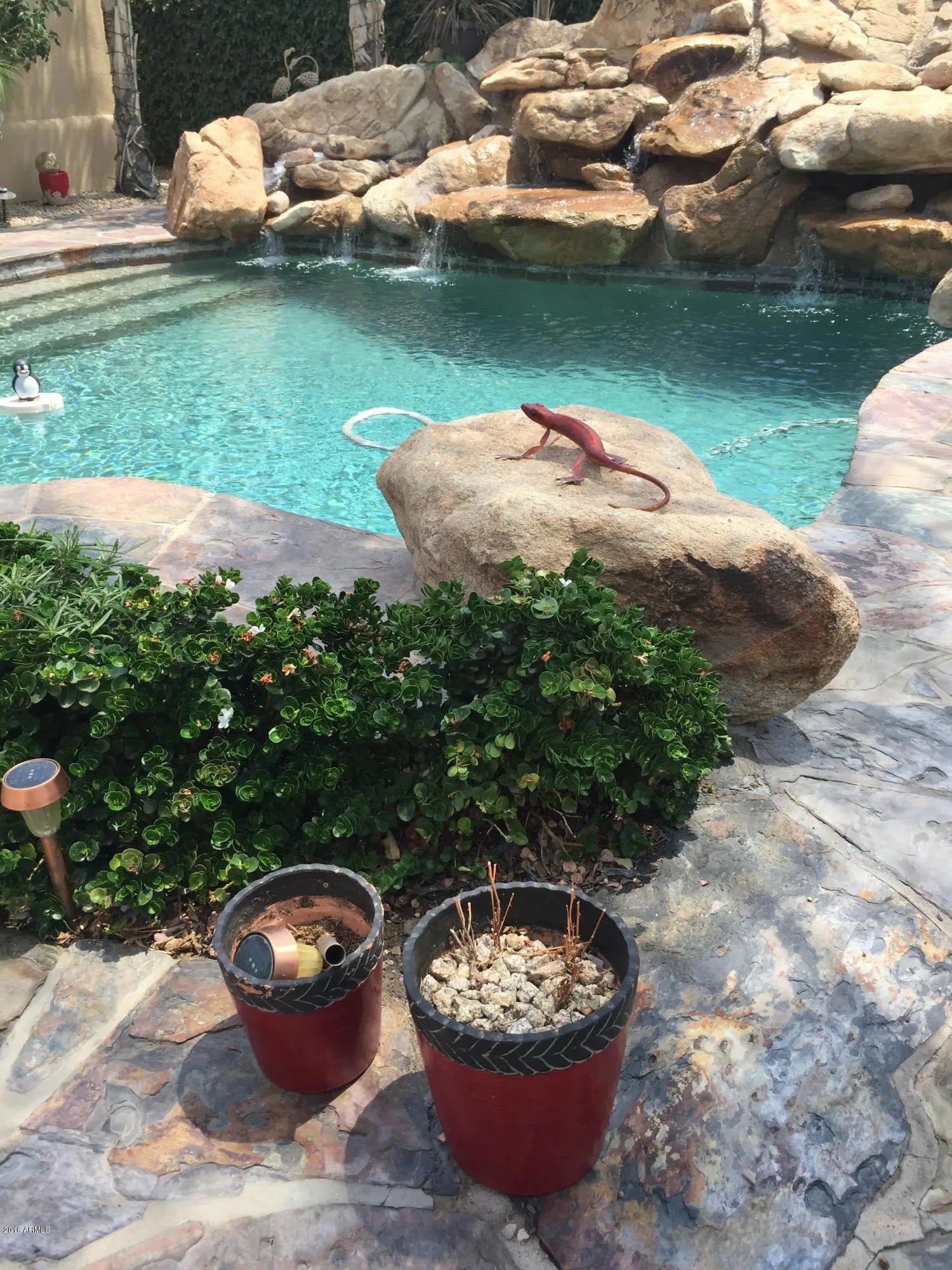 Photo of Listing #6486647