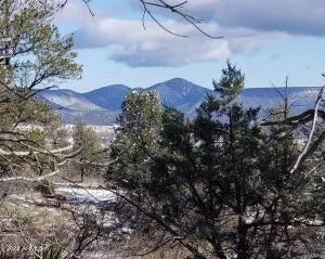 Photo of Listing #6523165