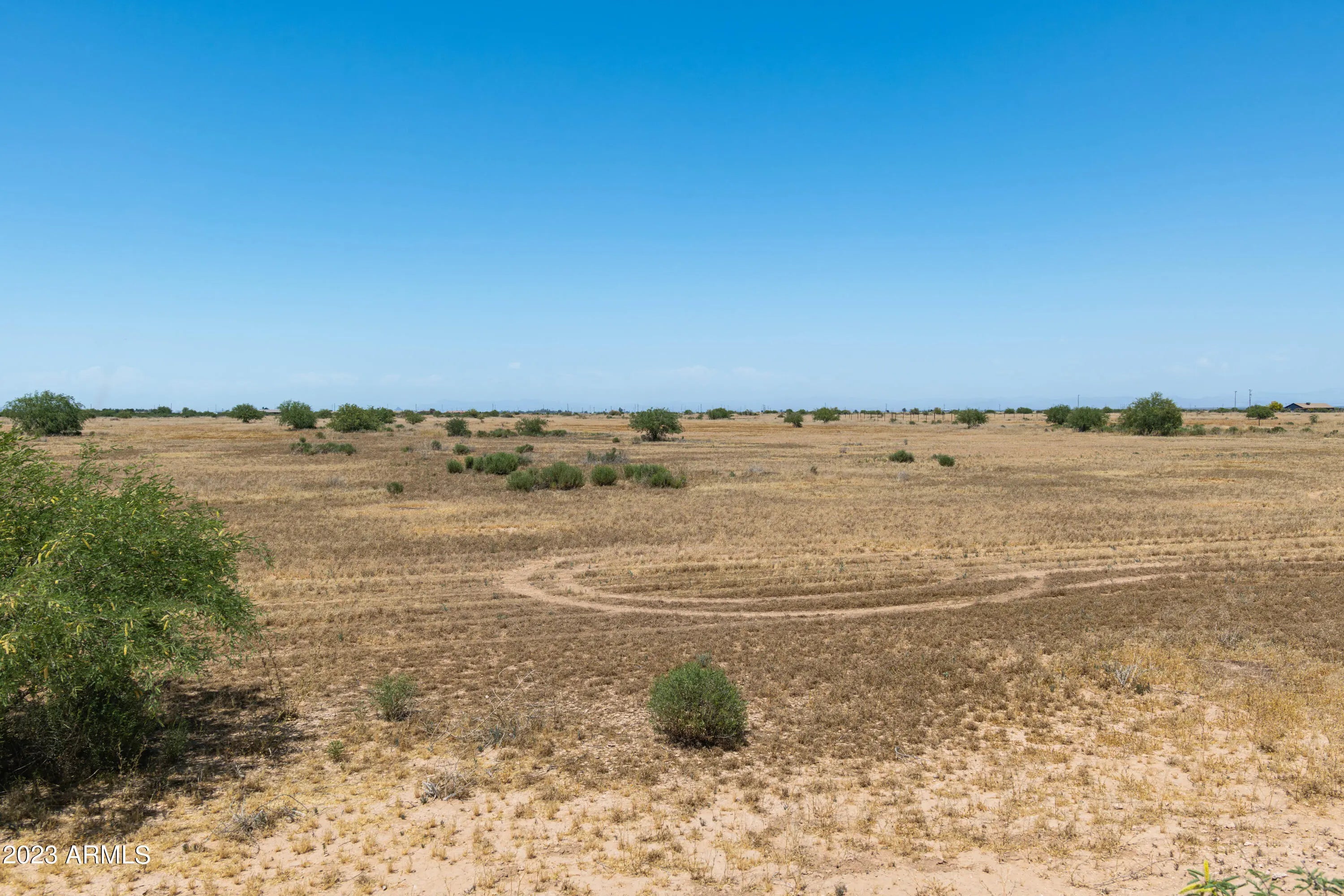 Photo of Listing #6559109