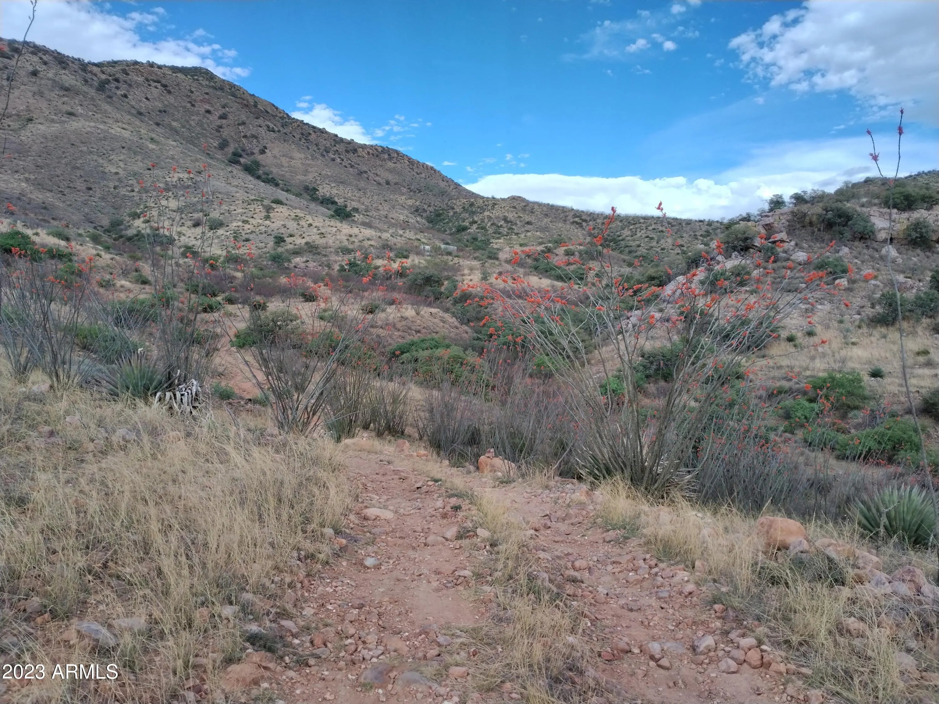 Photo of Listing #6575334