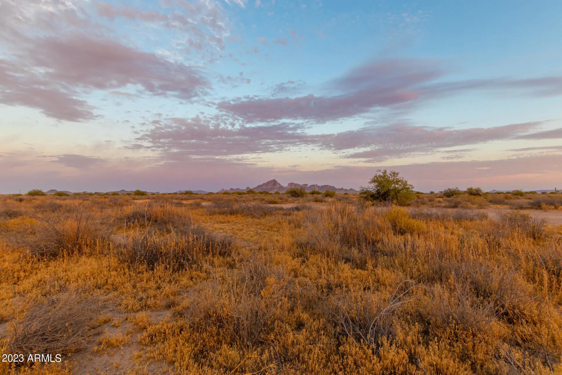 Photo of Listing #6582186