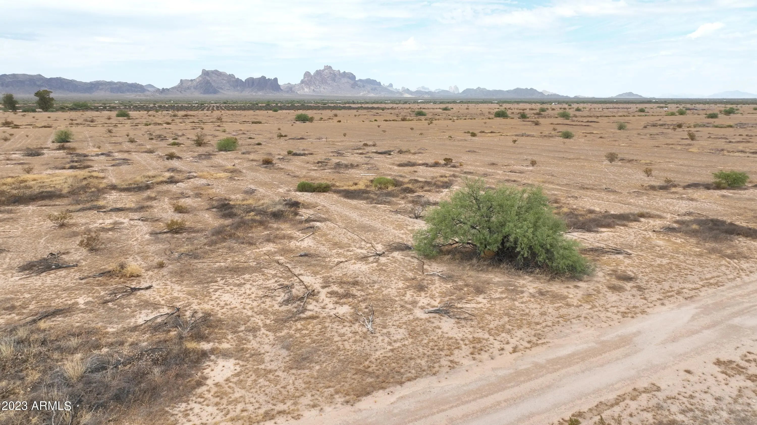 Photo of Listing #6633630