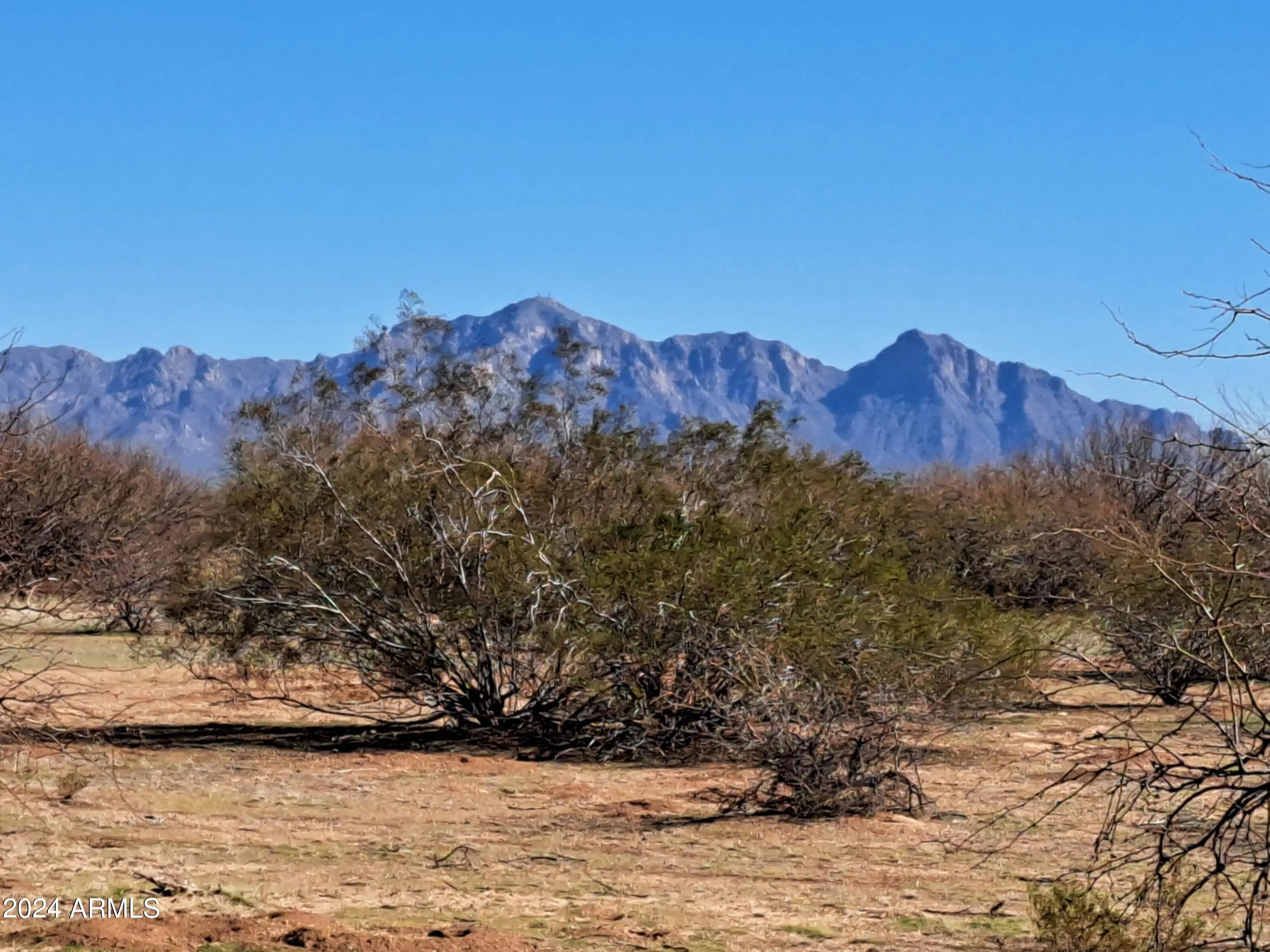 Photo of Listing #6661439