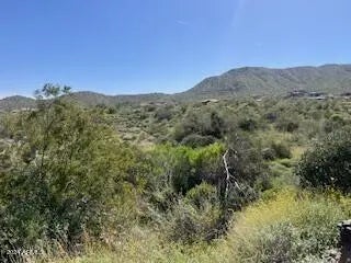 Photo of Listing #6684797