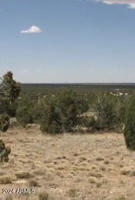 Photo of Listing #6703170