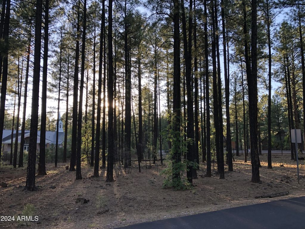 2504 Timber Ridge Lane (unit 1), Pinetop