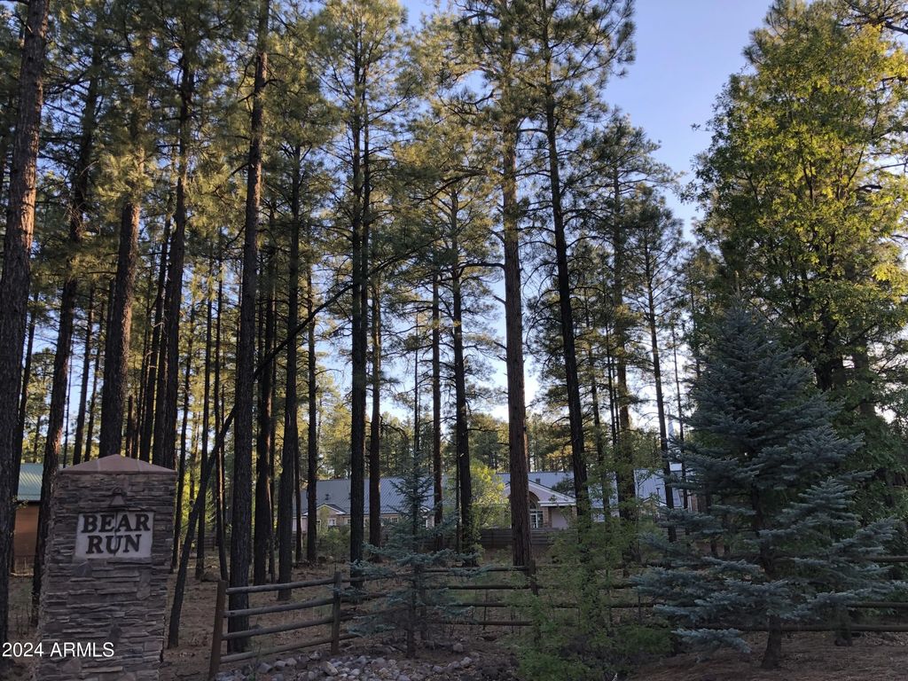 2522 Timber Ridge Lane (unit 2), Pinetop