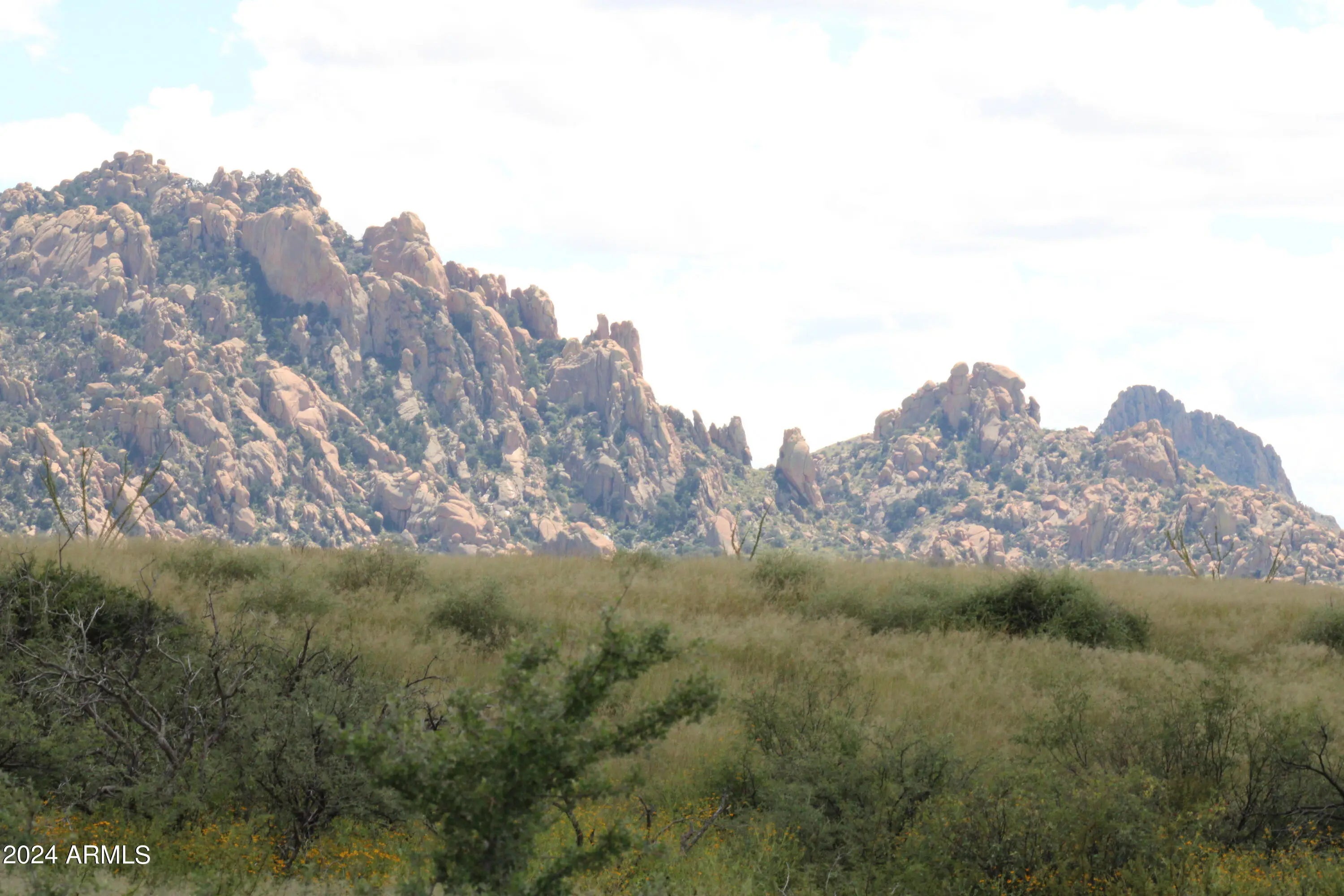 Photo of Listing #6738581