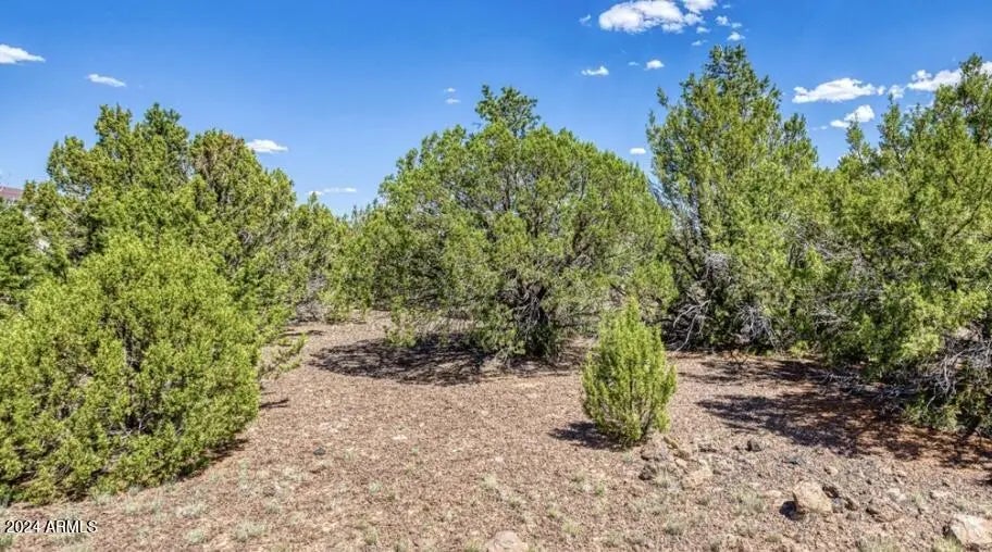 Photo of Listing #6754059