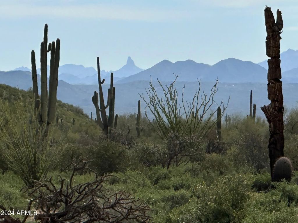 168xx E Bajada Drive (unit D), Rio Verde
