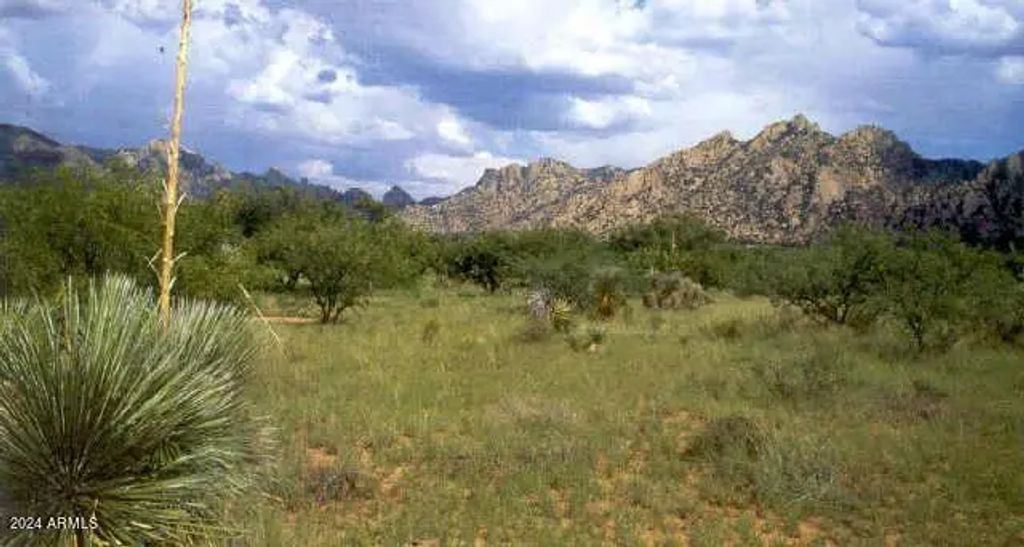 E Cougar Trail (unit 96), Saint David