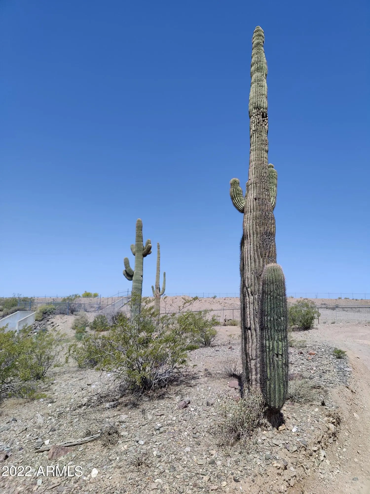 Photo of Listing #6927977