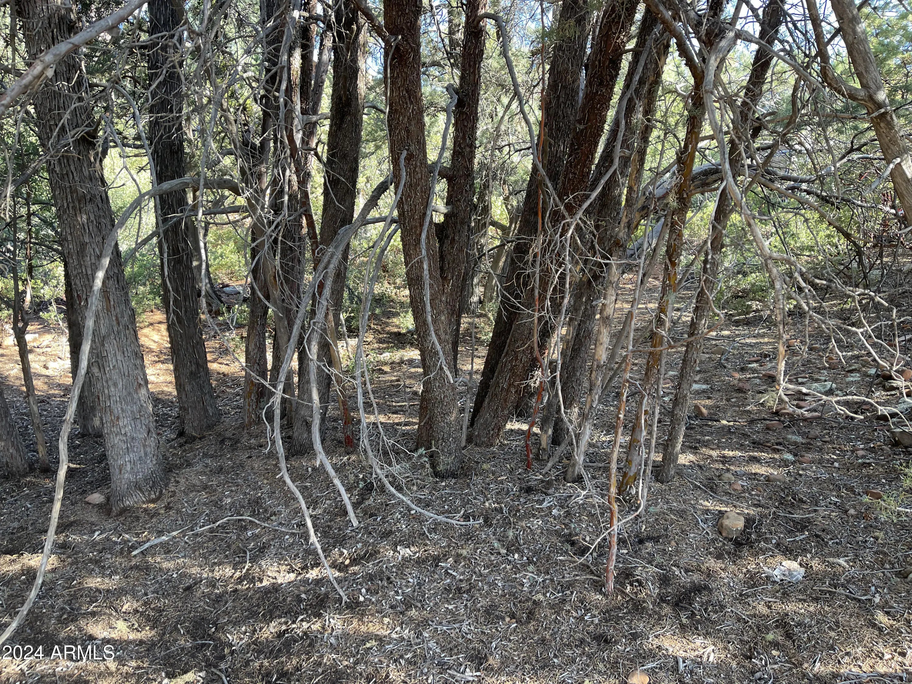 Photo of Listing #6778752