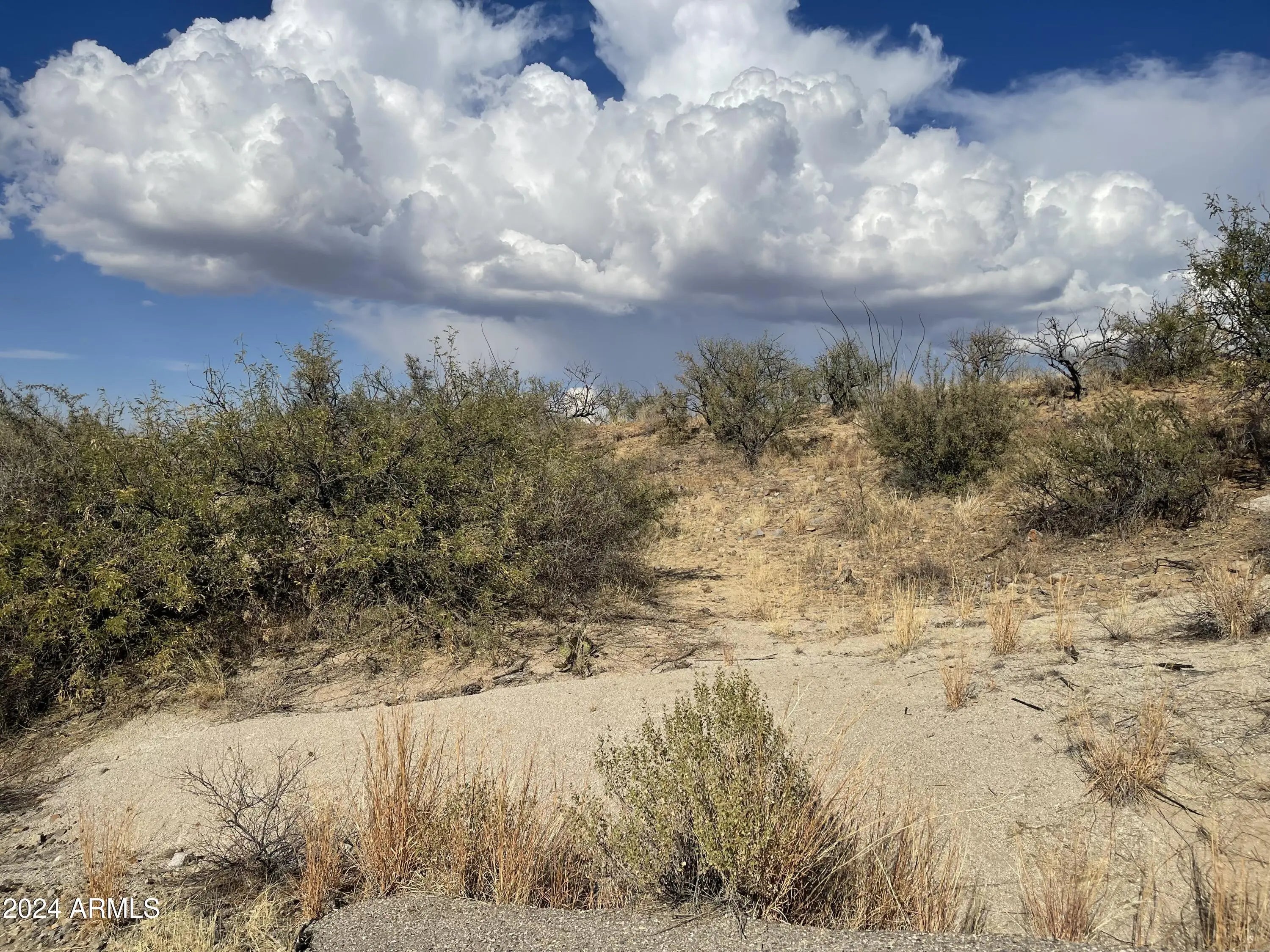 Photo of Listing #6793481