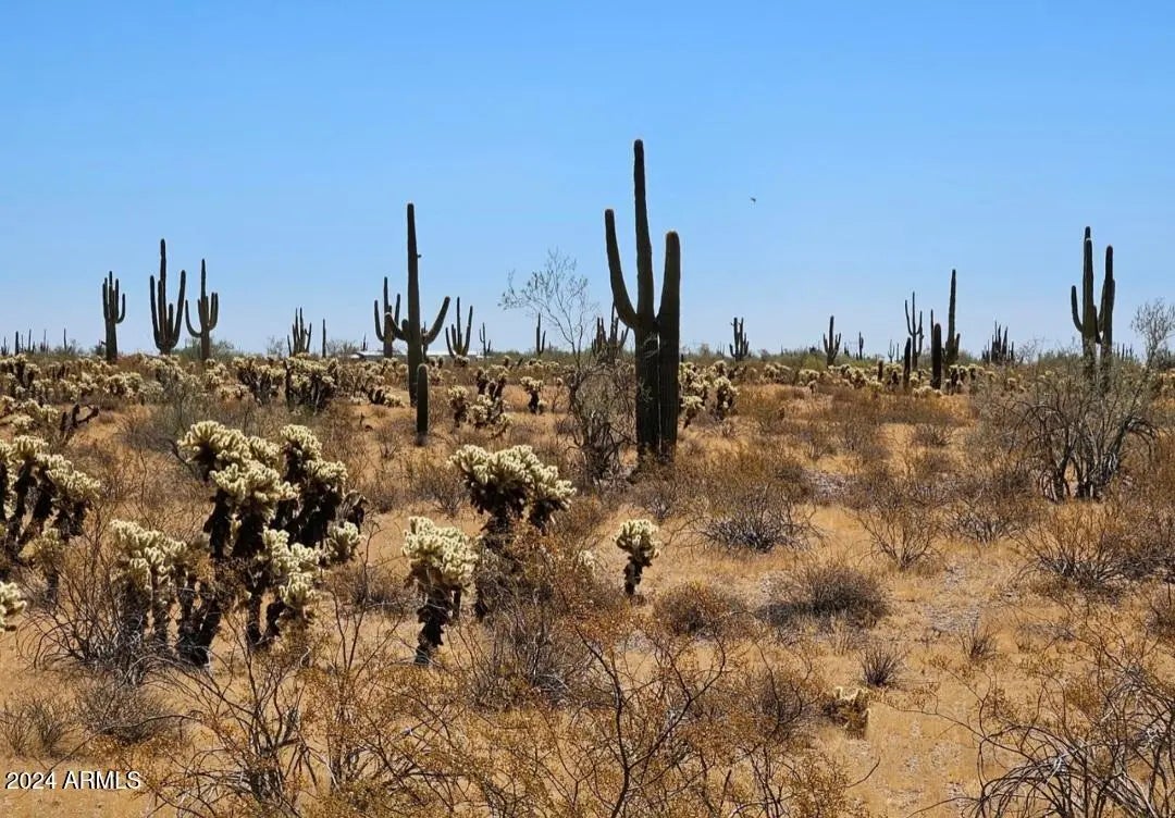 Photo of Listing #6795597