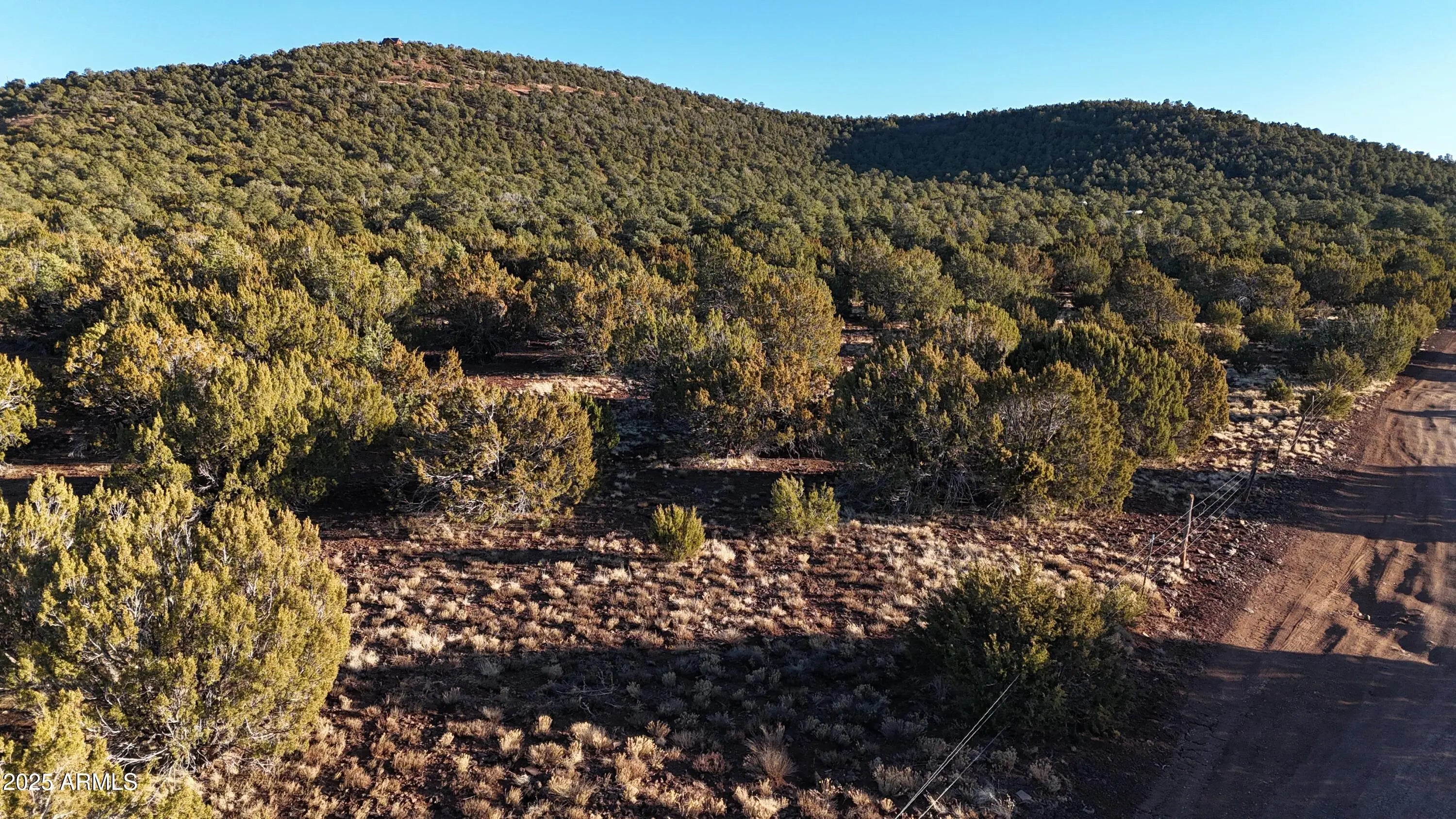 Photo of Listing #6801215