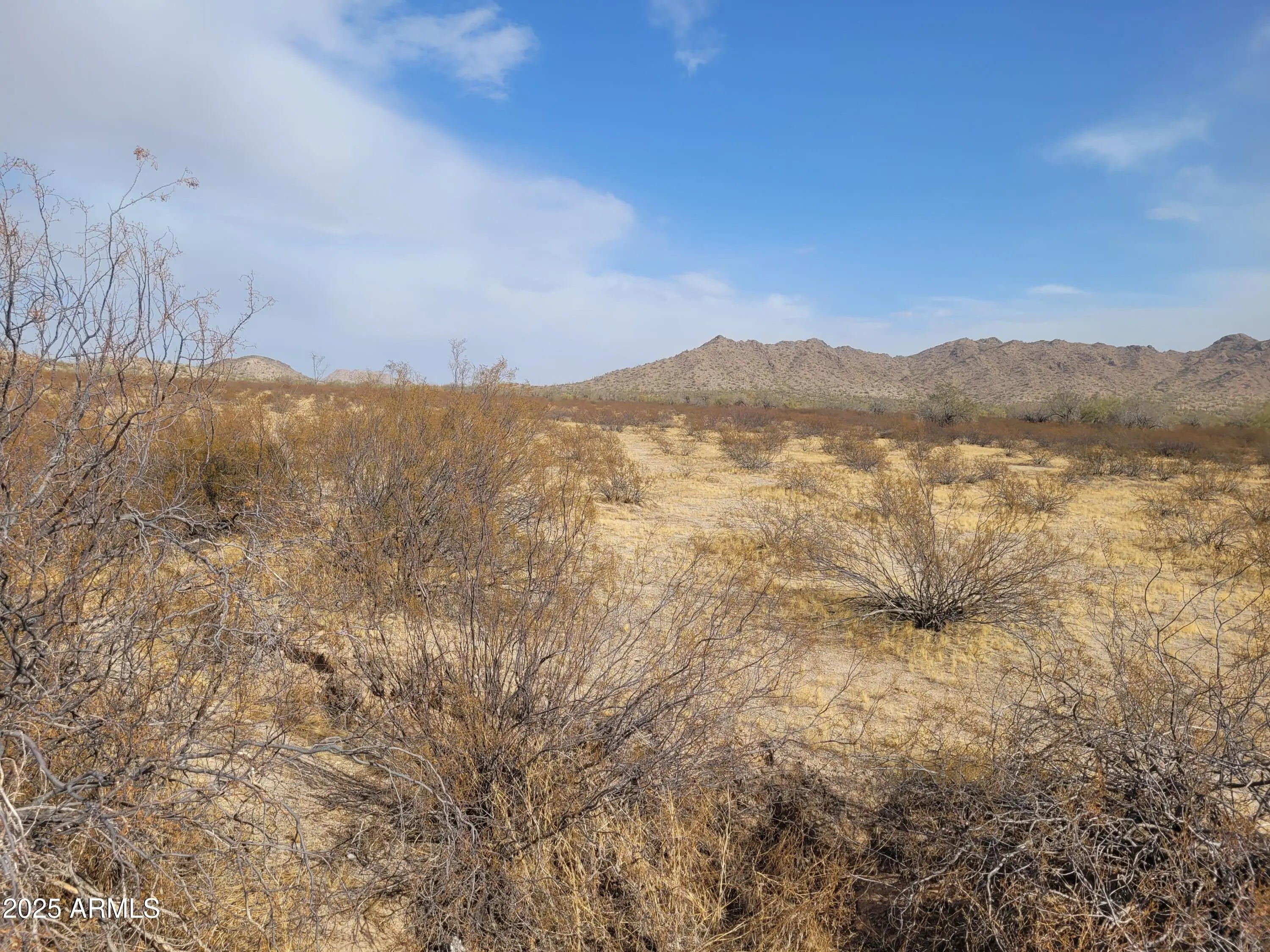 Photo of Listing #6818167