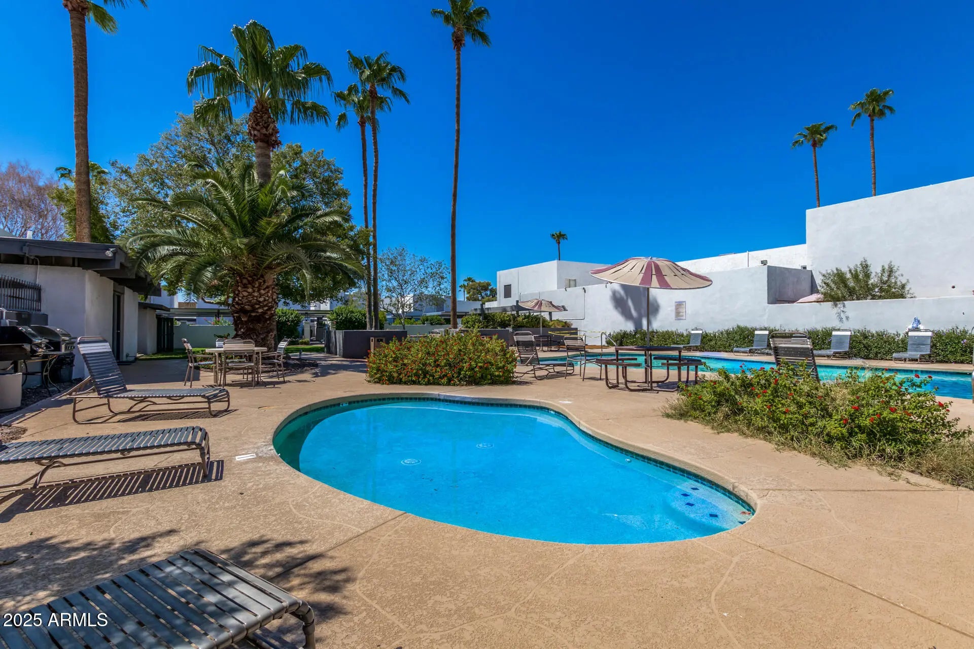 Photo of Listing #6811432