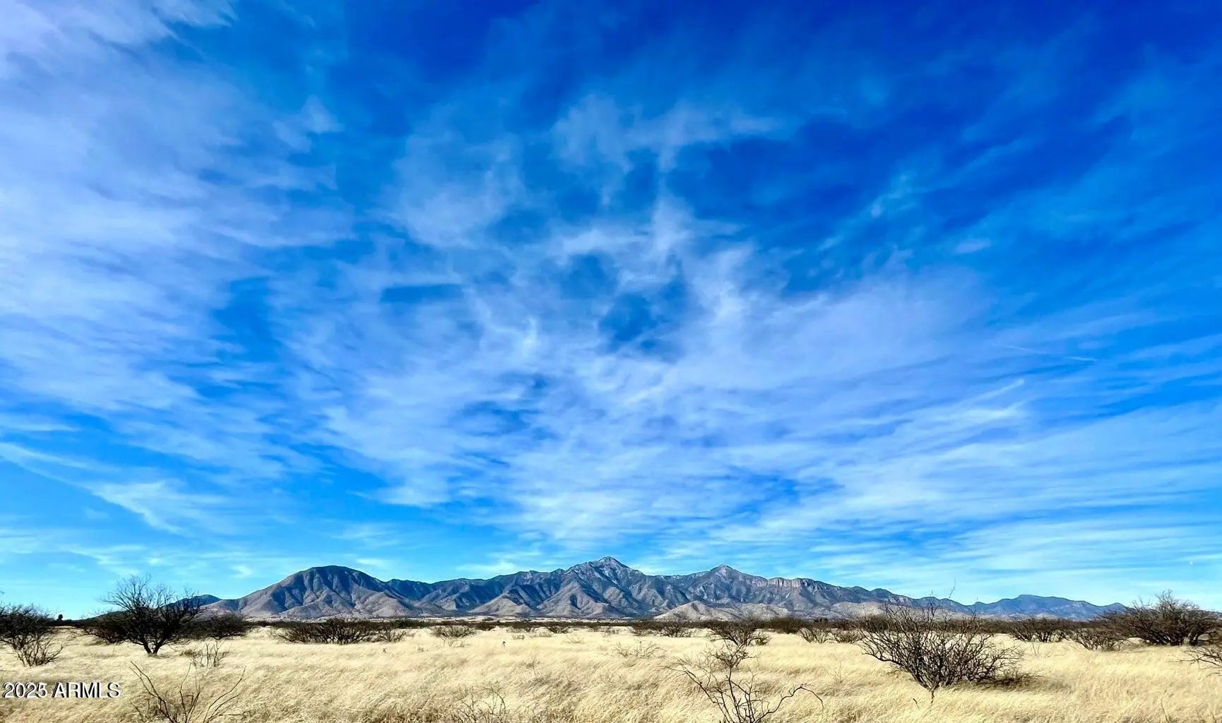 Photo of Listing #6813259