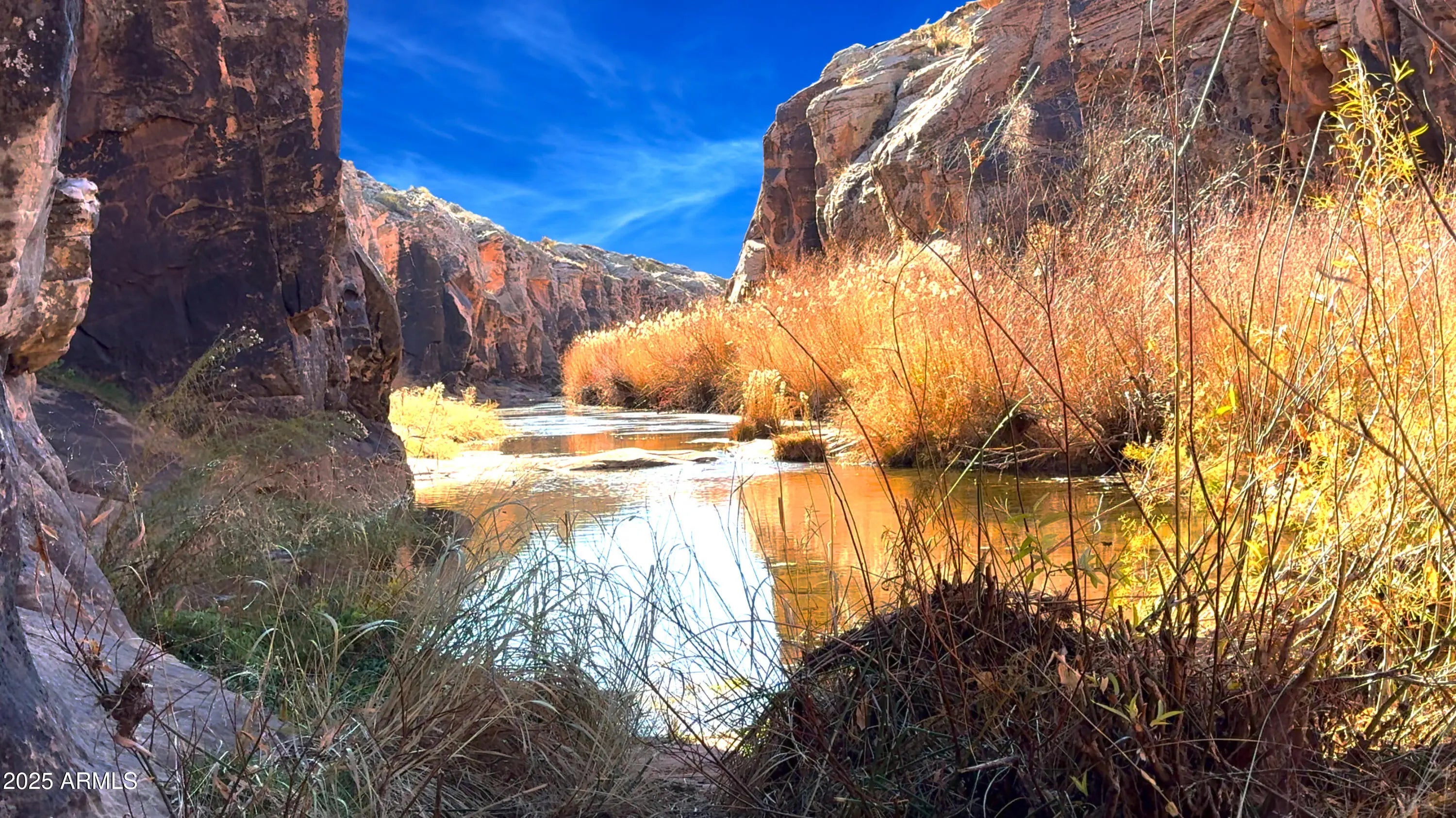 Photo of Listing #6820980