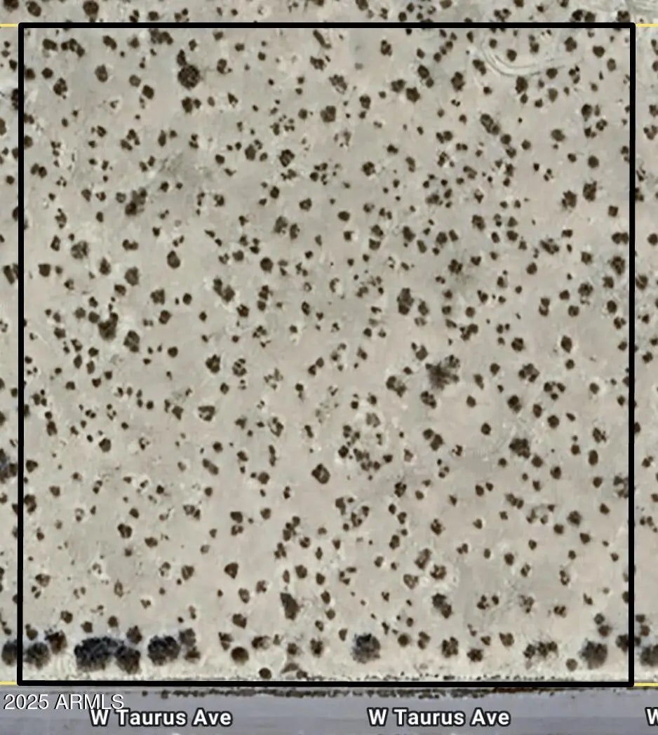 Photo of Listing #6832919