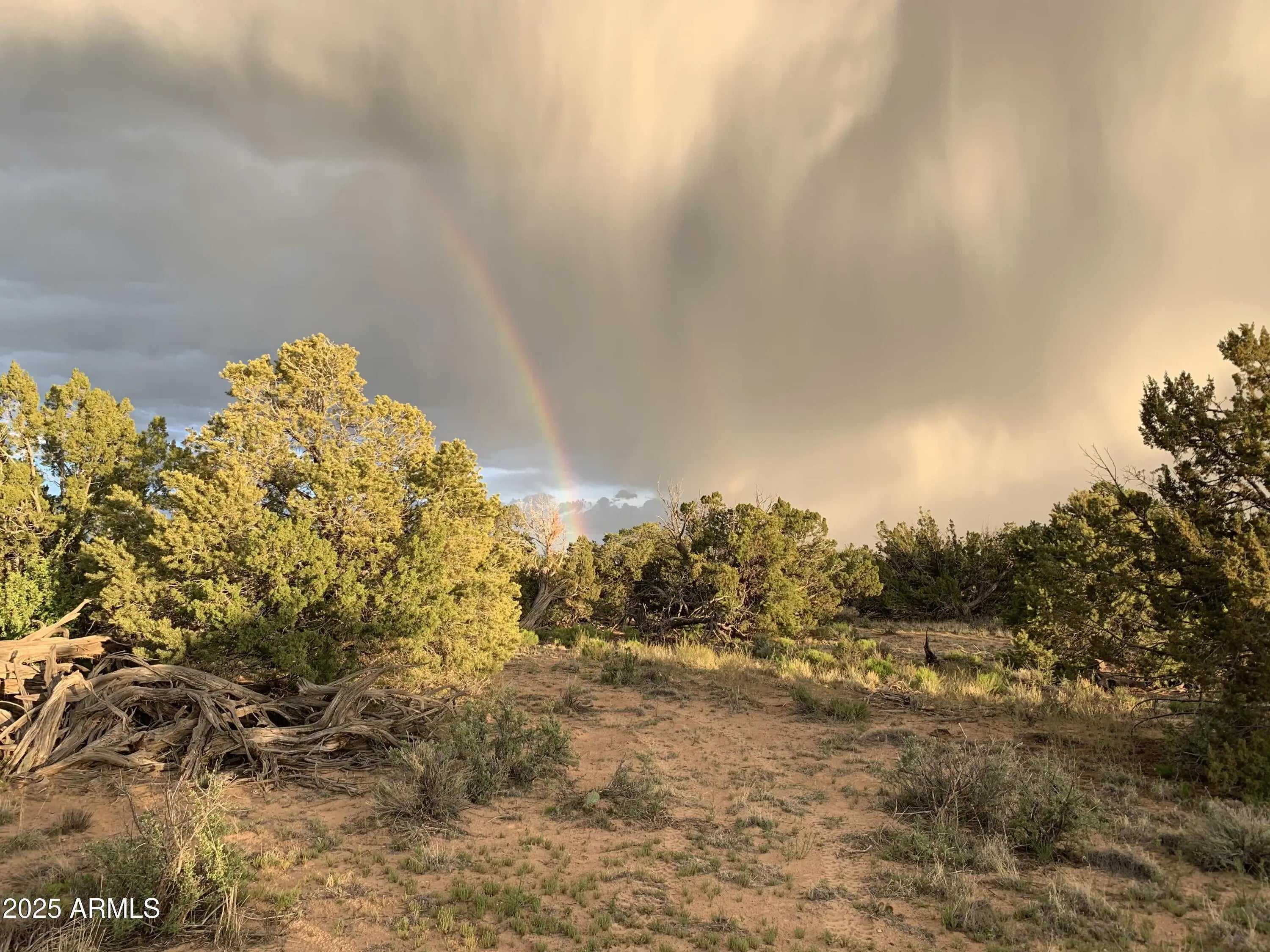 Photo of Listing #6825198