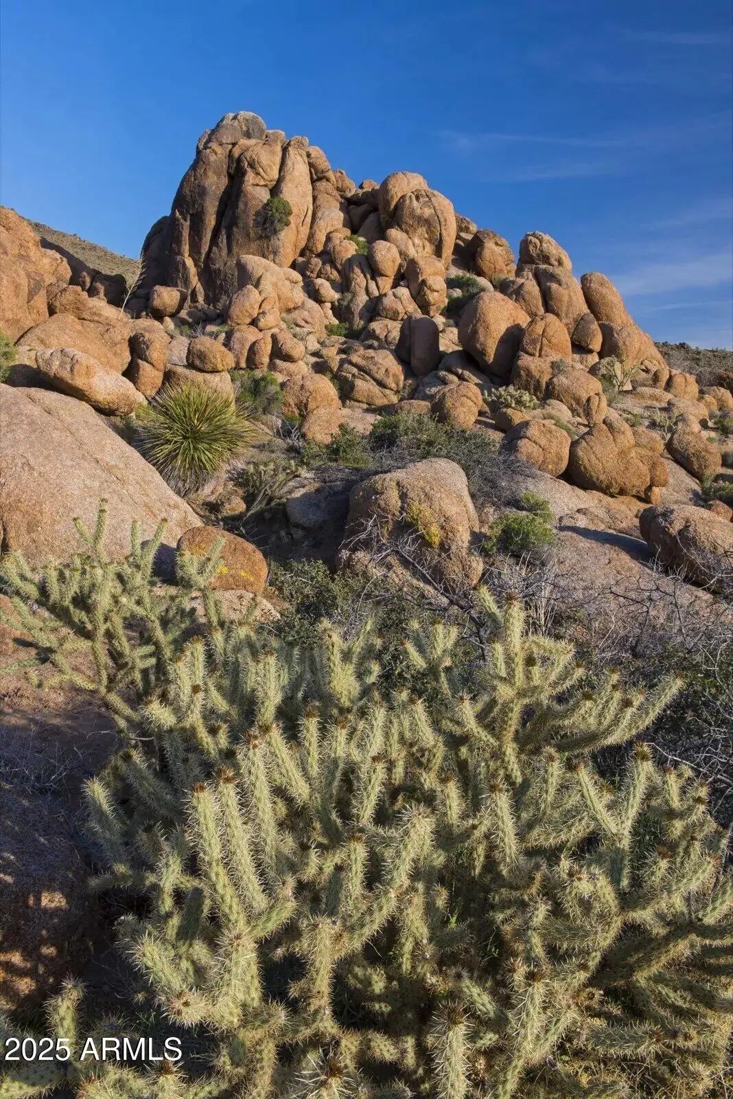 Photo of Listing #6825228