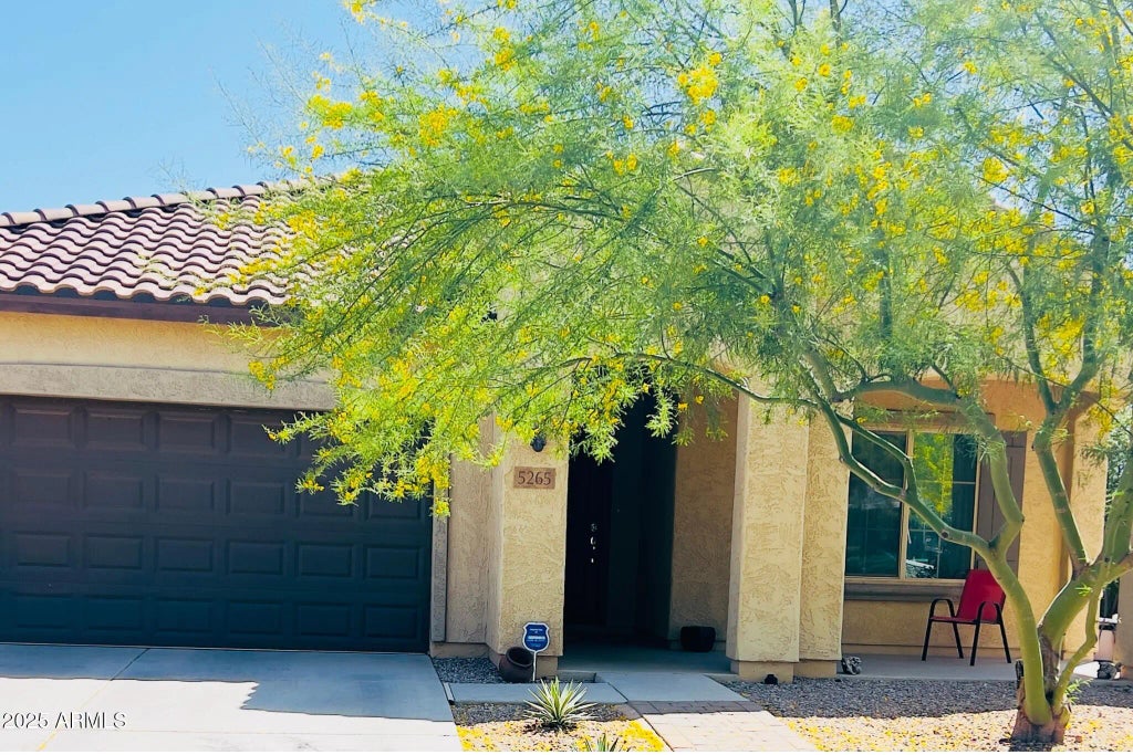 5265 S Dante, Mesa