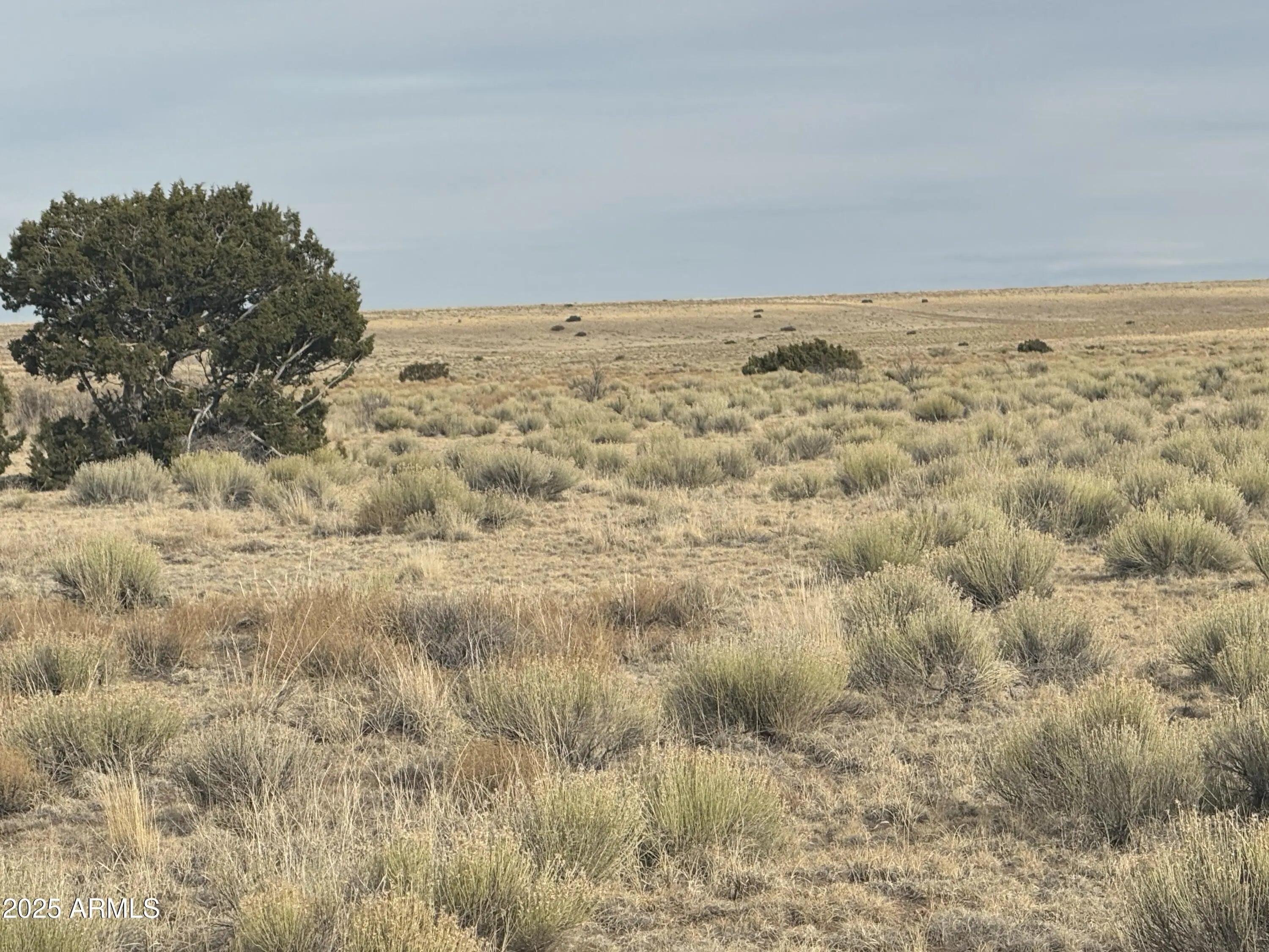 Photo of Listing #6842331